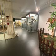 IMG_1316.JPEG