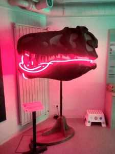 Nachts im Museum - 2025 (Fotograf: Bastian Ascher)